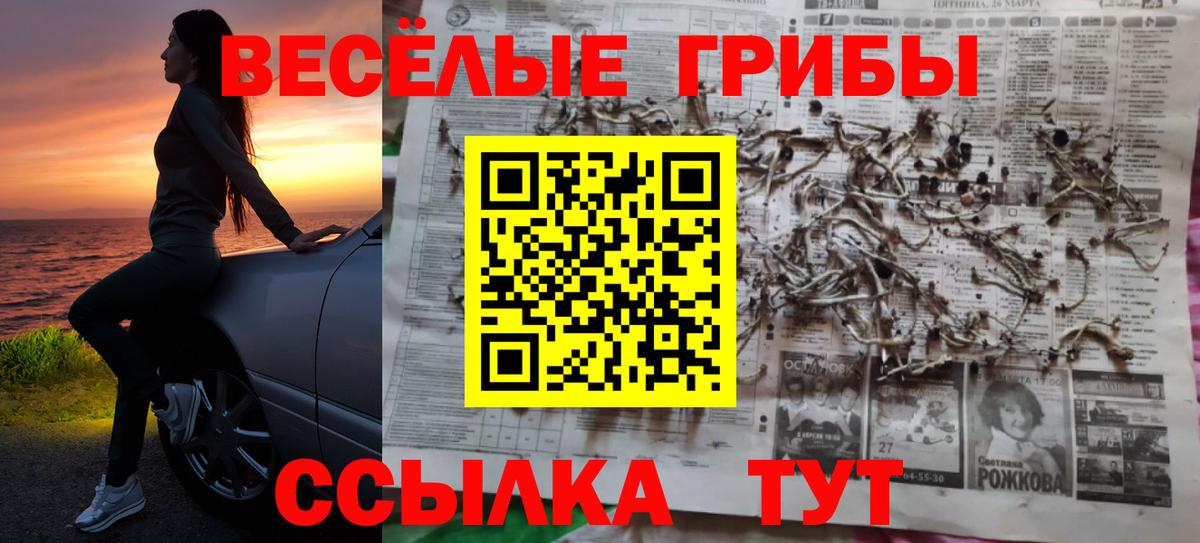 Миллерово  Галлюциногенные грибы ЛСД  Вход с VPN 