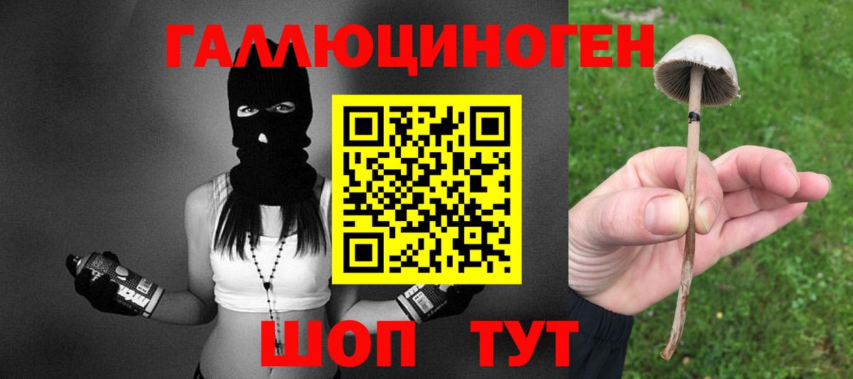Галлюциногенные грибы мухоморы Миллерово